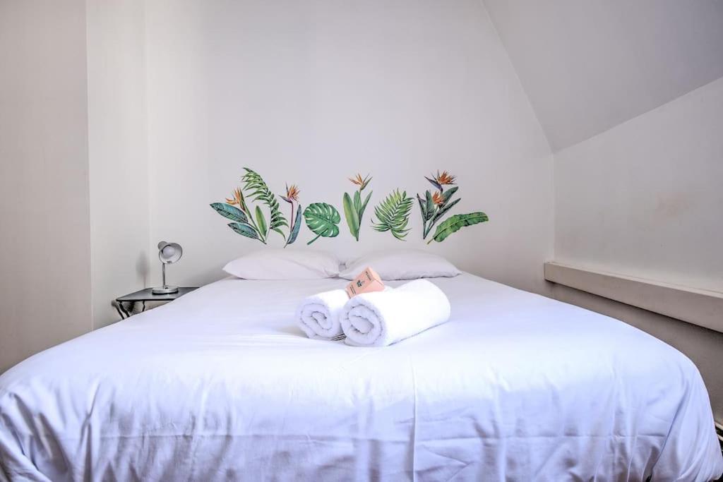 Le Jardin Suspendu Charme & Calme En Centre Ville Périgueux Екстериор снимка